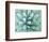 Agave, Desert Botanical Museum, Phoenix, Arizona, USA-Rob Tilley-Framed Photographic Print