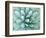 Agave, Desert Botanical Museum, Phoenix, Arizona, USA-Rob Tilley-Framed Photographic Print