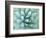 Agave, Desert Botanical Museum, Phoenix, Arizona, USA-Rob Tilley-Framed Photographic Print