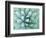 Agave, Desert Botanical Museum, Phoenix, Arizona, USA-Rob Tilley-Framed Photographic Print