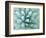 Agave, Desert Botanical Museum, Phoenix, Arizona, USA-Rob Tilley-Framed Photographic Print