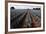 Agave Field for Tequila Production, Jalisco, Mexico-T photography-Framed Photographic Print
