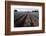 Agave Field for Tequila Production, Jalisco, Mexico-T photography-Framed Photographic Print