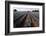 Agave Field for Tequila Production, Jalisco, Mexico-T photography-Framed Photographic Print