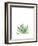 Agave I-Ann Solo-Framed Art Print