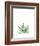 Agave I-Ann Solo-Framed Art Print