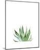 Agave I-Ann Solo-Mounted Art Print