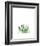 Agave I-Ann Solo-Framed Art Print