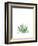 Agave I-Ann Solo-Framed Art Print