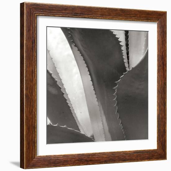 Agave I-Rita Crane-Framed Photographic Print