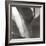 Agave I-Rita Crane-Framed Photographic Print