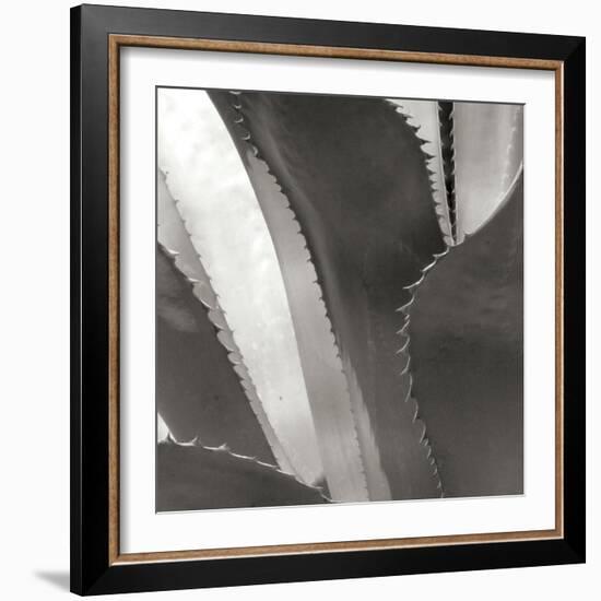 Agave I-Rita Crane-Framed Photographic Print