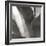 Agave I-Rita Crane-Framed Photographic Print