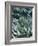 Agave I-Rachel Perry-Framed Photographic Print