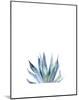 Agave II-Ann Solo-Mounted Art Print