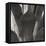 Agave II-Rita Crane-Framed Premier Image Canvas