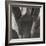 Agave II-Rita Crane-Framed Photographic Print