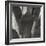 Agave II-Rita Crane-Framed Photographic Print