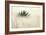 Agave II-Douglas Taylor-Framed Photographic Print