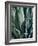 Agave II-Rachel Perry-Framed Photographic Print