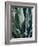 Agave II-Rachel Perry-Framed Photographic Print