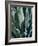 Agave II-Rachel Perry-Framed Photographic Print