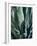 Agave II-Rachel Perry-Framed Photographic Print