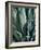 Agave II-Rachel Perry-Framed Photographic Print