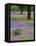 Agave in Field of Texas Blue Bonnets, Phlox and Oak Trees, Devine, Texas, USA-Darrell Gulin-Framed Premier Image Canvas