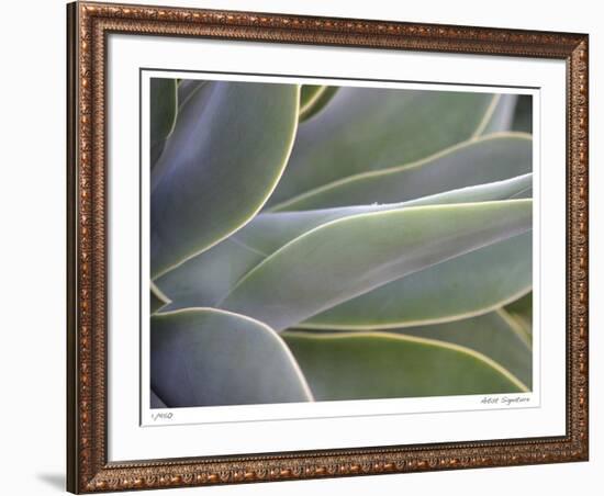 Agave IV-Joy Doherty-Framed Giclee Print