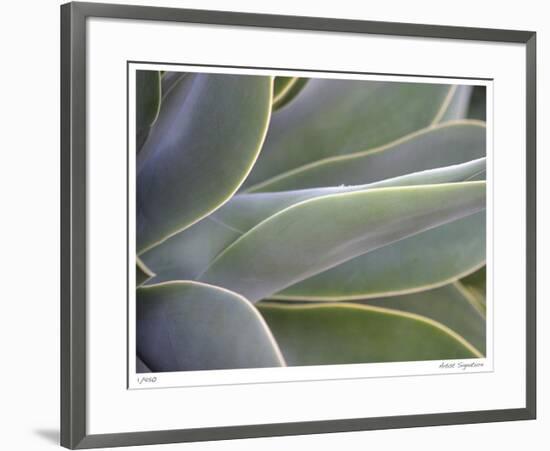 Agave IV-Joy Doherty-Framed Giclee Print