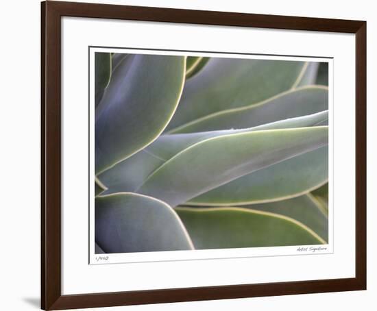 Agave IV-Joy Doherty-Framed Giclee Print