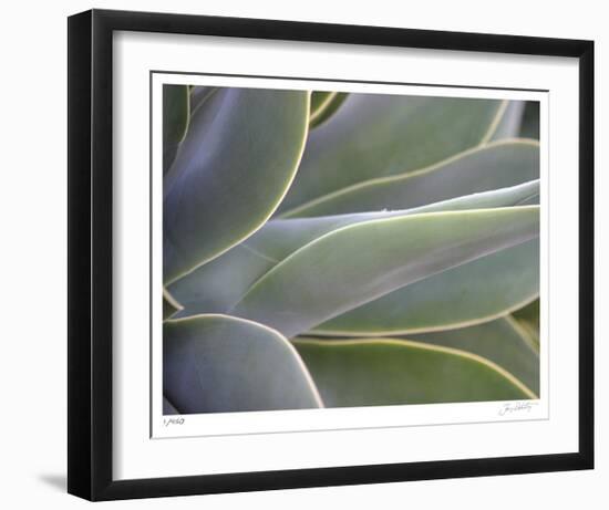 Agave IV-Joy Doherty-Framed Limited Edition