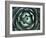 Agave, Northern California, Usa-Paul Colangelo-Framed Photographic Print