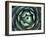 Agave, Northern California, Usa-Paul Colangelo-Framed Photographic Print