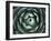 Agave, Northern California, Usa-Paul Colangelo-Framed Photographic Print