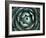 Agave, Northern California, Usa-Paul Colangelo-Framed Photographic Print