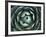 Agave, Northern California, Usa-Paul Colangelo-Framed Photographic Print