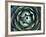 Agave, Northern California, Usa-Paul Colangelo-Framed Photographic Print