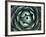 Agave, Northern California, Usa-Paul Colangelo-Framed Photographic Print