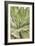 Agave Ovatifolia-Adrian Thomas-Framed Photographic Print