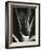 Agave, Paradise Park-Brett Weston-Framed Photographic Print