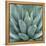 Agave Plant-Micha Pawlitzki-Framed Premier Image Canvas