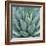 Agave Plant-Micha Pawlitzki-Framed Photographic Print