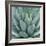 Agave Plant-Micha Pawlitzki-Framed Photographic Print