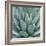 Agave Plant-Micha Pawlitzki-Framed Giclee Print