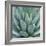 Agave Plant-Micha Pawlitzki-Framed Giclee Print