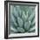 Agave Plant-Micha Pawlitzki-Framed Giclee Print