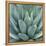 Agave Plant-Micha Pawlitzki-Framed Premier Image Canvas