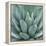 Agave Plant-Micha Pawlitzki-Framed Premier Image Canvas